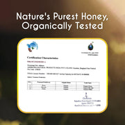 TruSoul Raw Organic Honey - 500gm