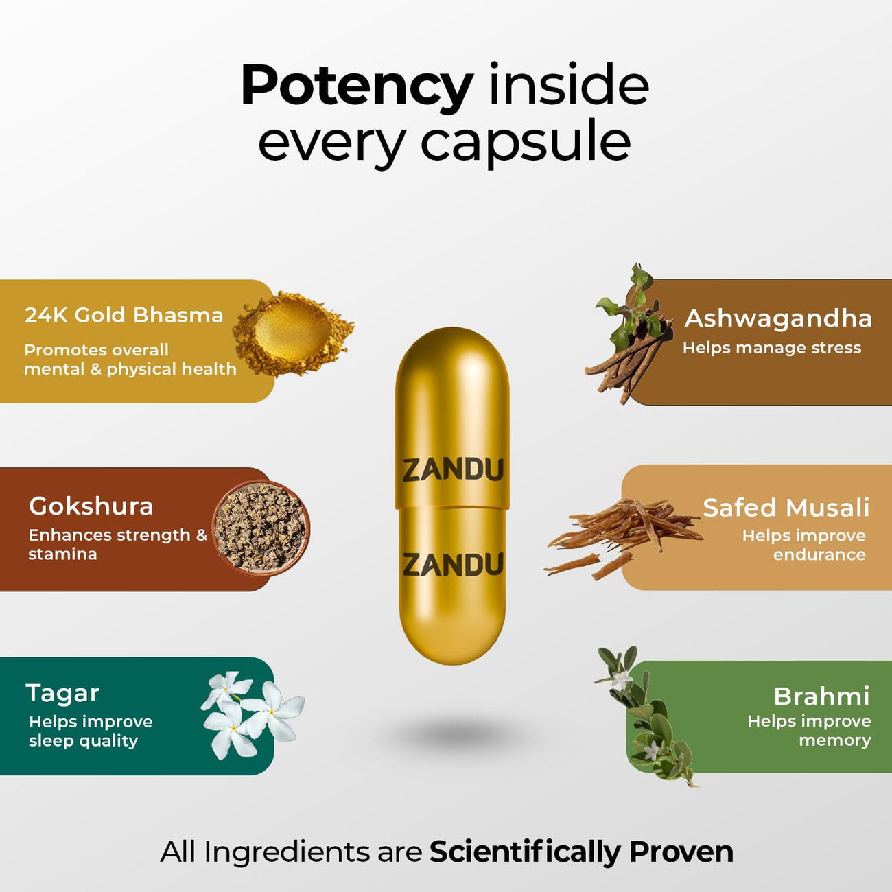 Zandu Ashwagandha Gold Plus I Reduces Stress & Cortisol, Improves Sleep and Muscle Recovery