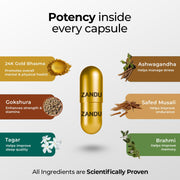 Zandu Ashwagandha Gold Plus I Reduces Stress & Cortisol, Improves Sleep and Muscle Recovery
