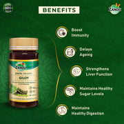 Zandu Giloy Tablets