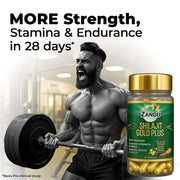 Zandu Shilajeet Gold Plus 60 Capsules
