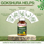 Baidyanath Gokshura Tablets - Strength, Stamina, Urinary Wellness & Vitality Support