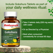 Baidyanath Gokshura Tablets - Strength, Stamina, Urinary Wellness & Vitality Support