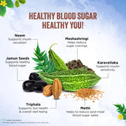 Dabur Dia Control Juice - Blood Sugar Wellness Support