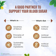 Dabur Dia Control Juice - Blood Sugar Wellness Support