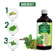 Dabur Giloy Neem Tulsi Juice - Immunity & Detox Wellness