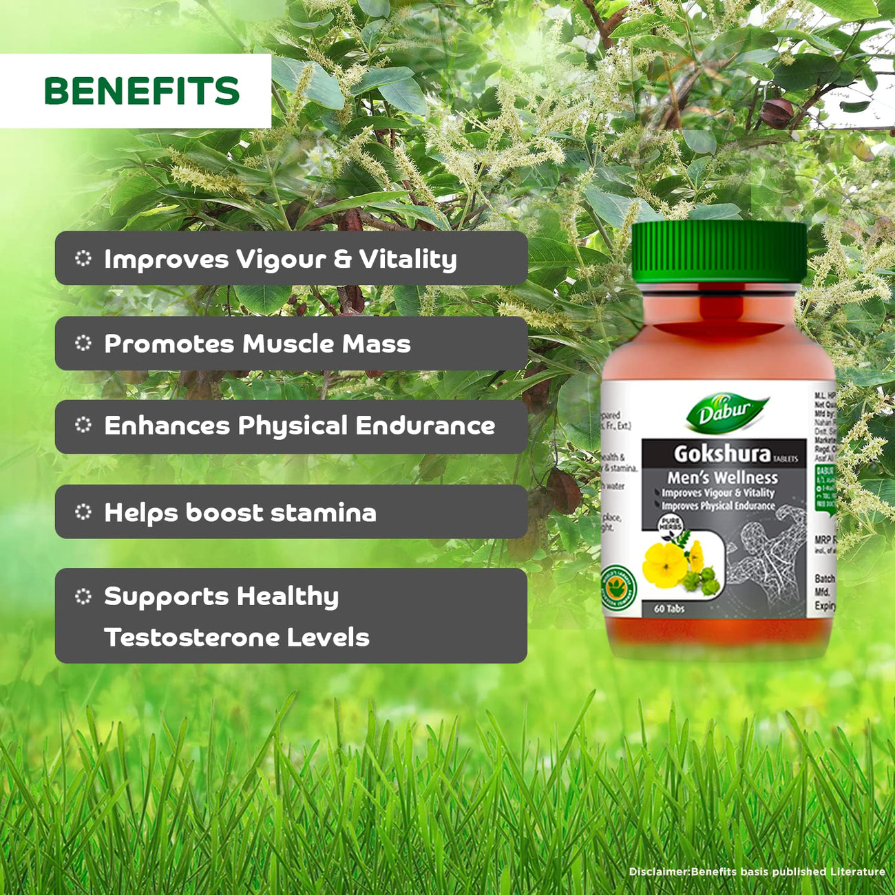Gokshura Tablet - Dabur
