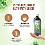 Dabur Gut Health Juice - Ayurvedic Digestive Care Support