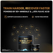 Himalayan Shilajit - Dabur