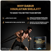 Himalayan Shilajit - Dabur