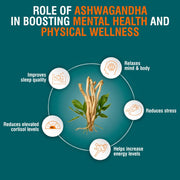 Organic Ashwagandha Capsule - HImalaya