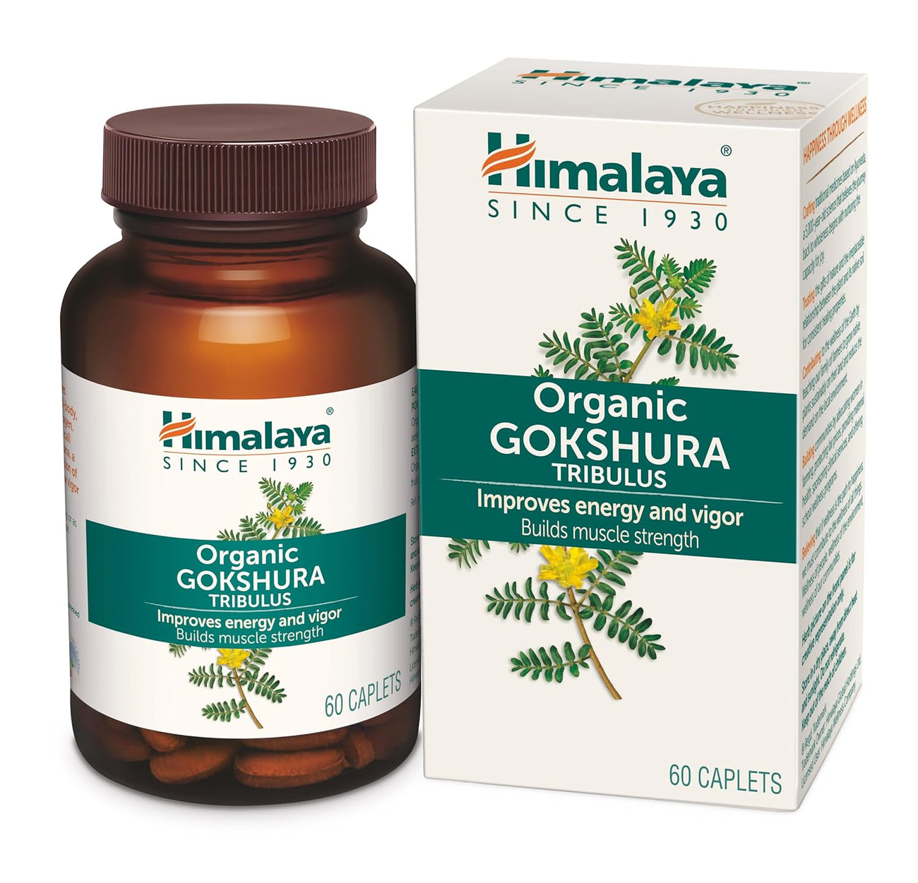 Organic Gokshura Tablet - Himalaya